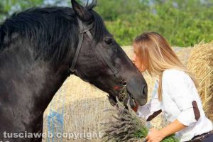 Un cavallo e la sua padrona