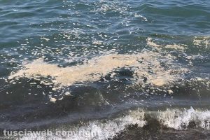 Montalto di Castro - Il mare sporco