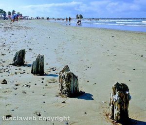 Ladispoli - La spiaggia libera di Torre Flavia