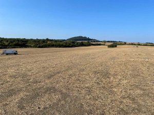 Valentano - L'area del rave party liberata a e pulita