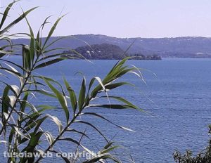 Capodimonte - L'isola Martana