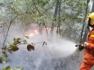 Acquapendente - Incendio alla riserva naturale Monte Rufeno