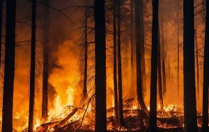 Incendi in California