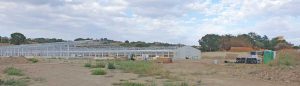 Montefiascone - Allevamento intensivo di galline ovaiole - Inizio cantiere
