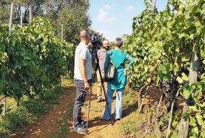 Nocciole e biologico - Le tv nelle aziende della Tuscia