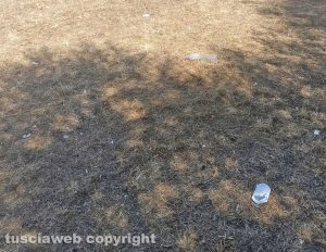 Viterbo - Il parco in zona Santa Lucia