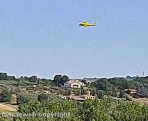 Bimba di tre anni morsa da una vipera nelle campagne di Orte - Soccorsa con l'elicottero