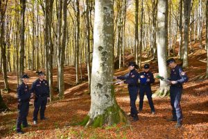 I carabinieri forestali al lavoro nei boschi