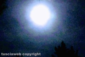 Luna piena tra gli alberi