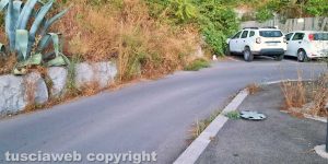 Viterbo - Erbacce al parcheggio delle Fortezze