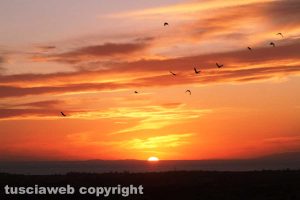 Tarquinia - Il tramonto di Bruno Ciuffatelli