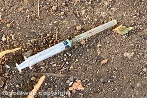 Viterbo - Siringa gettata in viale Trieste