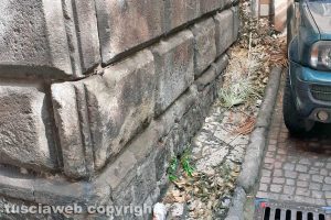 Viterbo - Incuria in via Saffi