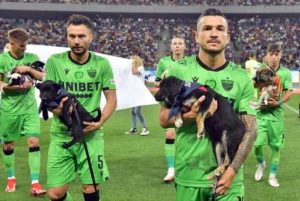 Romania - I calciatori scendono in campo con cuccioli di cane