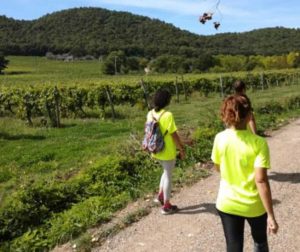 Montefiascone - "I percorsi dell'Est Est Est"