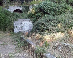 Viterbo - Erbacce e degrado al fontanile di Fiescoli