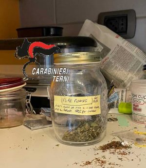 Terni - Carabinieri - I barattoli di marijuana divisi per tipologia