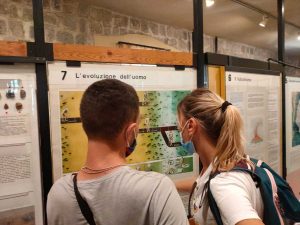 Le iniziative di Campo delle rose e Gea