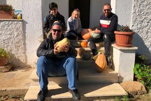 La coltivazione delle zucche