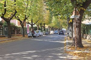 Viterbo - Viale Bruno Buozzi