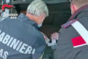 Carabinieri Nas - I medicinali trovati