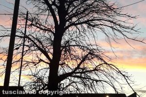 Pennellate di rosa al tramonto