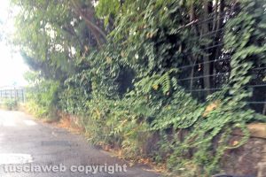 Viterbo - Incuria in via San Biele