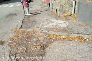 Viterbo - Incuria lungo i marciapiedi da via Vicenza a via Cattaneo