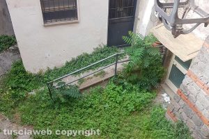 Viterbo - Incuria in via Cardinal La Fontaine