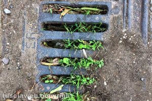 Viterbo - Un tombino otturato