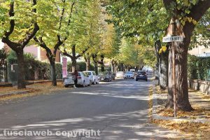 Viterbo - Viale Bruno Buozzi