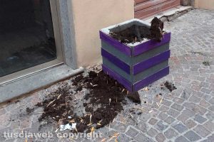 Ladri di piante in via Saffi