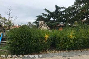Viterbo - Incuria al monumento ai Caduti della frazione di Tobia