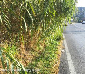 Strada Bagni