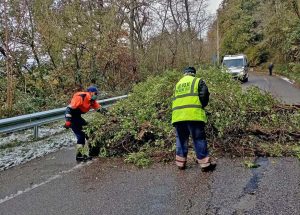 Montefiascone - L'intervento dell'Asvom in via del Lago