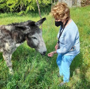Viterbo - Il progetto "ColtiviAmo la terra"