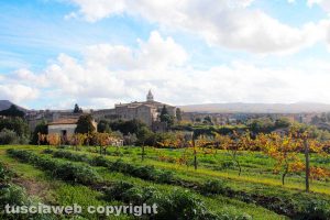 Viterbo - Valle Faul