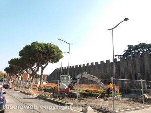 Viterbo - Il taglio degli alberi a piazzale Gramsci