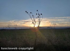La campagna di Viterbo all'alba
