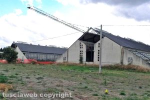 Viterbo - Incuria al cimitero