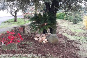 Giardino divelto dai cinghiali