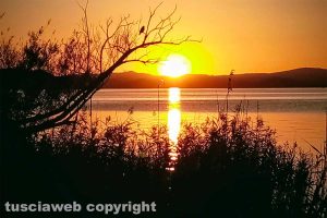 Il tramonto del merlo al lago di Bolsena