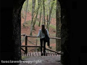 Le immagini del bosco scattate da Egle Sirtautaite e Bogdan Gligor