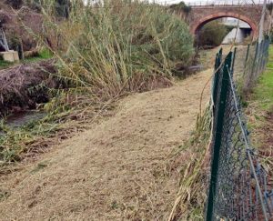 Civitavecchia - La pulizia dei fossi