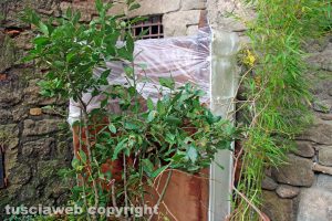 Viterbo - La discarica di via del Collegio