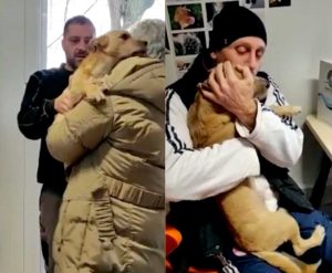 Il ritorno a casa di Ciuffo