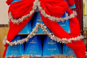 Panettoni e pandori all'istituto Villa Rosa