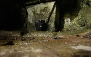 La memoria dell'acqua