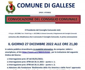 Gallese - La convocazione di consiglio comunale sbagliata