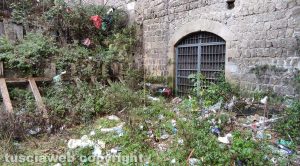 Viterbo - Erbacce alle cantine del palazzo di Vico
